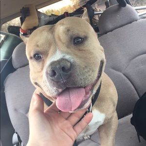 Meet your Posher, Alan